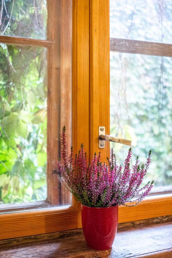 Dream Stay - Bright 2-Bedroom 2-Floor Old Town Apartment Tallinn Bagian luar foto